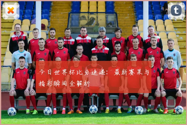 今日世界杯比分速递：最新赛果与精彩瞬间全解析