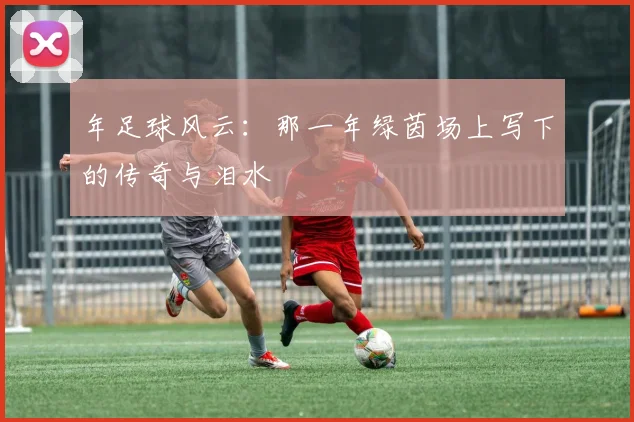 年足球风云:那一年绿茵场上写下的传奇与泪水